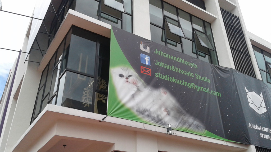 cat studio malaysia